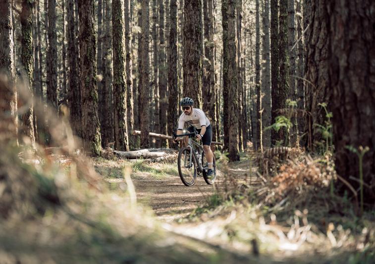 fotografía deportiva ciclista en bosque 